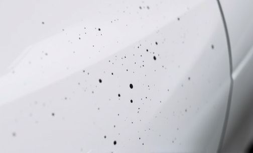 车漆上怎么会有这么多小黑点？