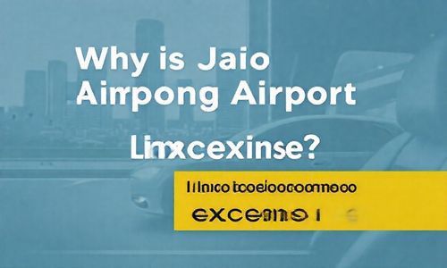 胶东机场礼宾车为什么这么贵