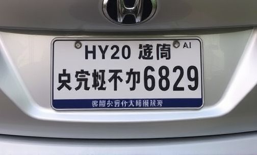 武汉新车牌照6天还没到