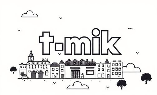 tmik是杂牌子吗