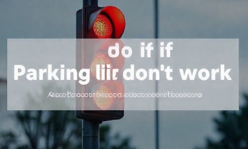 三、驻车灯不亮怎么办？先问问网友和技师